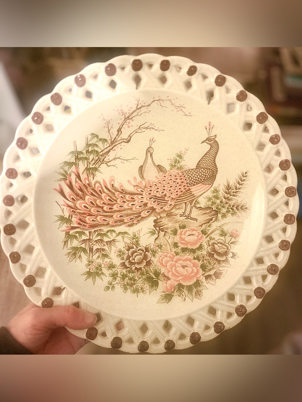 Vintage 18” Japanese Porcelain Peacock Art Display Plate with Wall Hanger